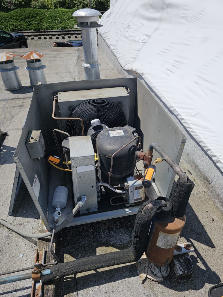 20250605_123526 Technician repairing commercial refrigerator in Everett restaurant kitchen