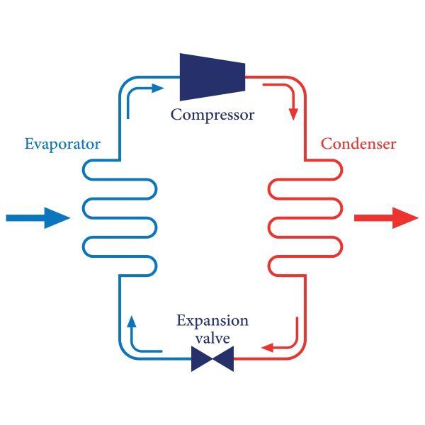 The Science of Commercial Refrigeration Protecting Inventory Through Technical Precision