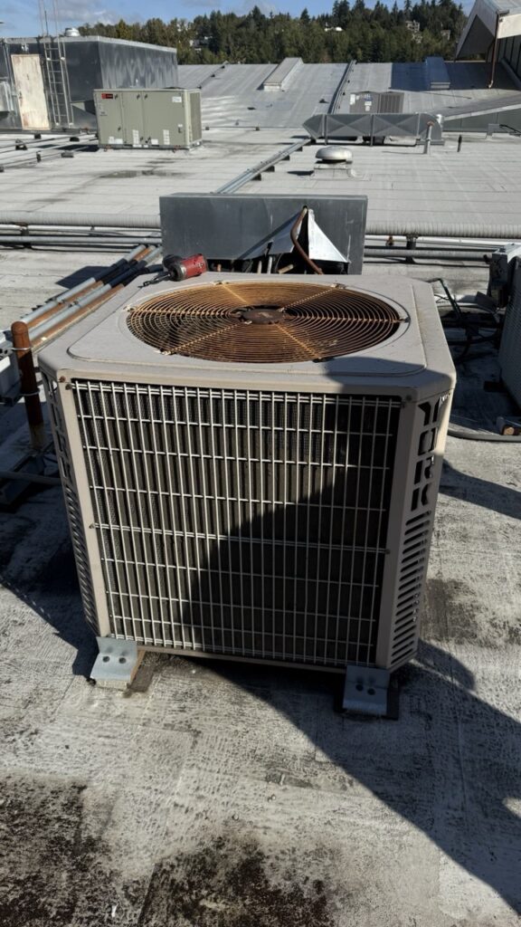 Overview of multiple York commercial air conditioning units on a large industrial rooftop undergoing professional inspection in Seattle.