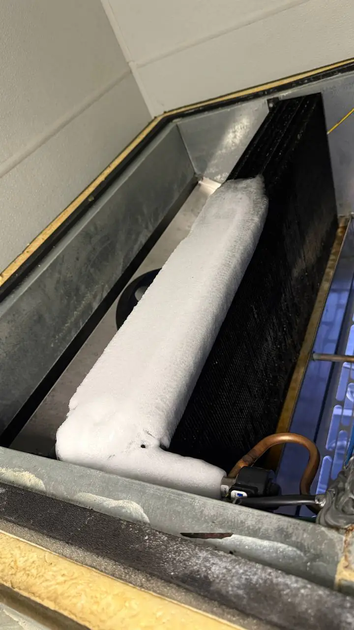 Reach-in cooler interior after control repair