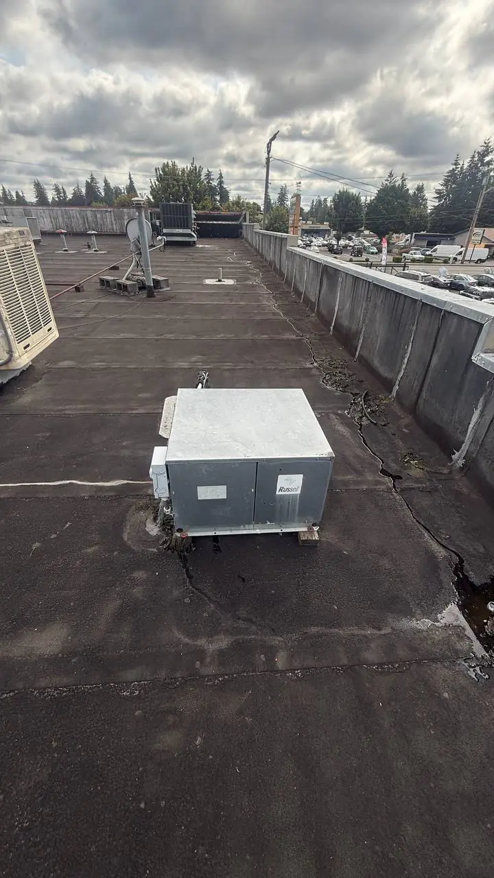Field diagnostic on a commercial medium-temp walk-in — A/C Dr. Naz
