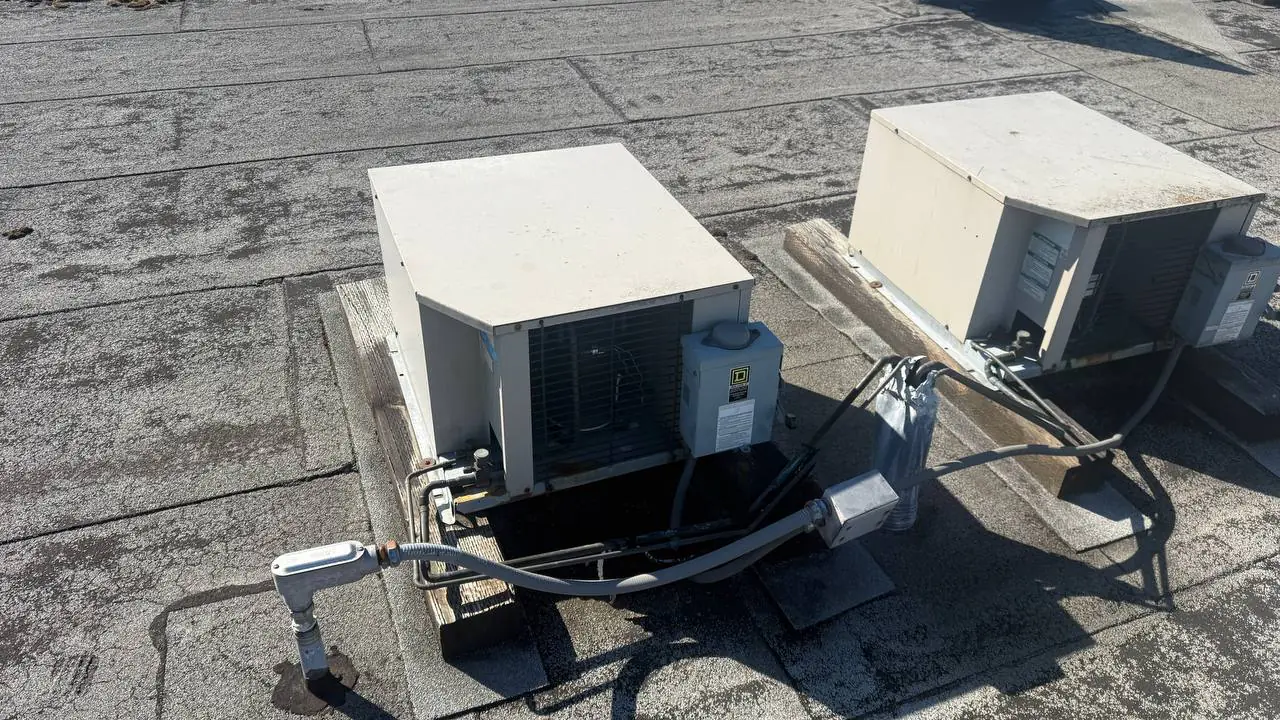 Technician checking evaporator and controls on a medium-temp box — A/C Dr. Naz