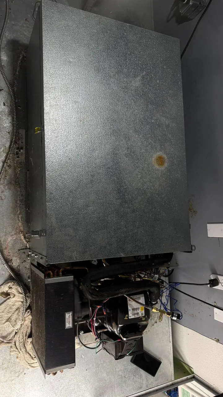 Low-temp freezer icing repair context
