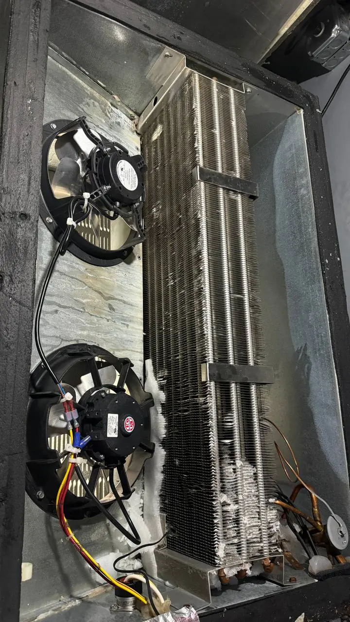 Ceiling ice and frost at a conduit penetration — freezer service