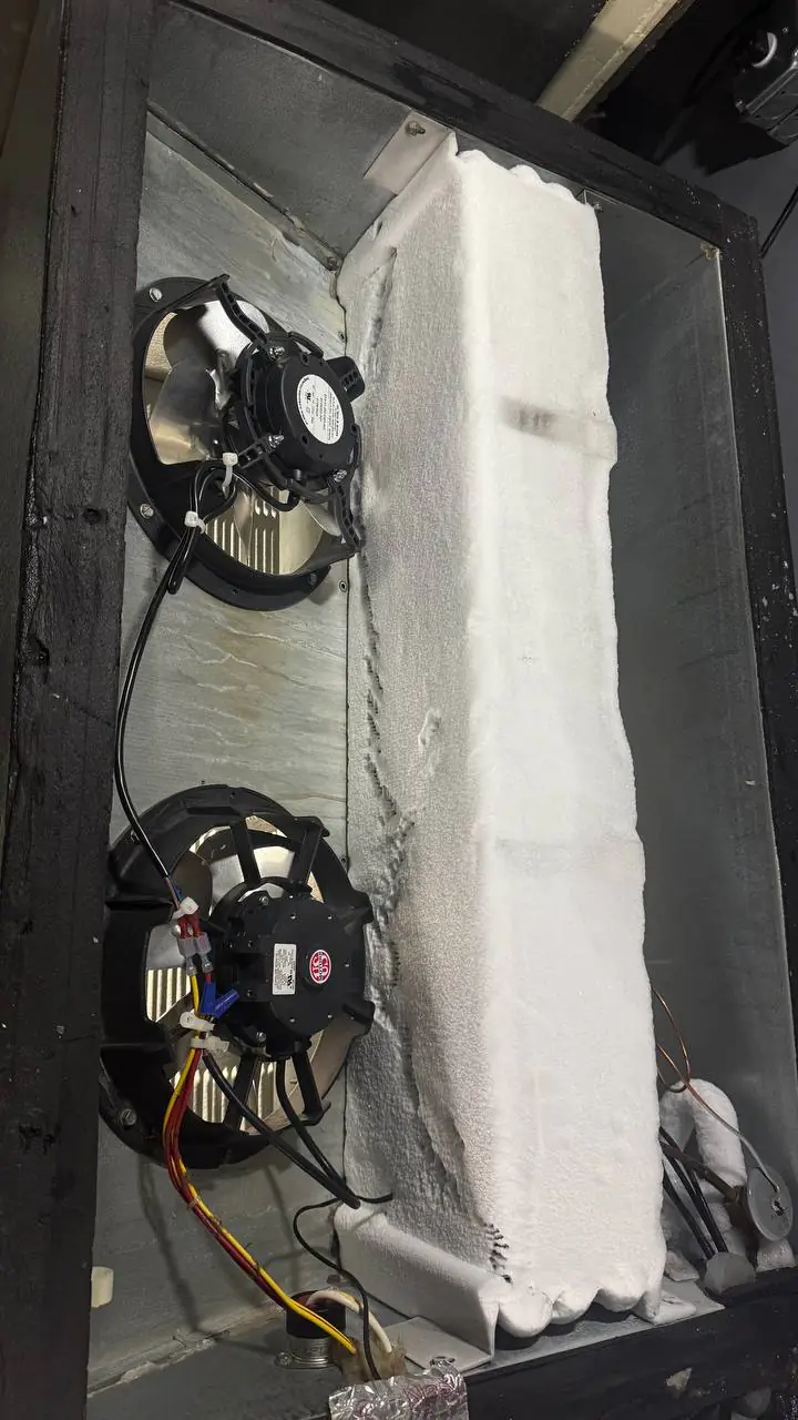 Evaporator area icing and frost on a low-temp box