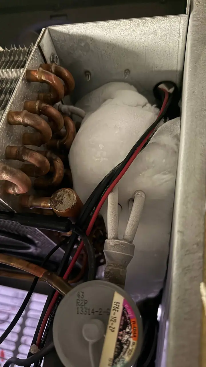 A/C Dr. Naz technician verifying gauges and sequence on a walk-in freezer